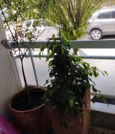 Cozy Apartment In Athens! Bagian luar foto