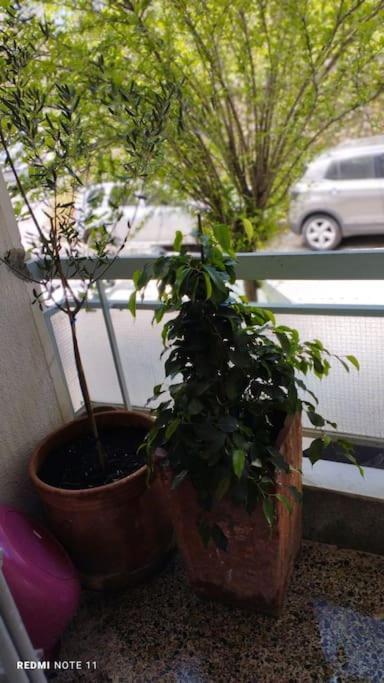 Cozy Apartment In Athens! Bagian luar foto